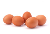 Hoeveel eieren per dag