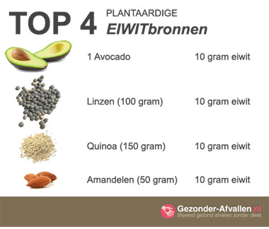 Plantaardige eiwitbronnen